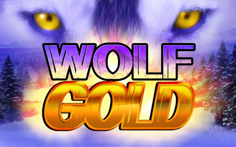 Disfruta Wolf Gold, la popular tragamonedas con temática de lobos y jackpots fijos, disponible en el sitio oficial de Codere Casino.